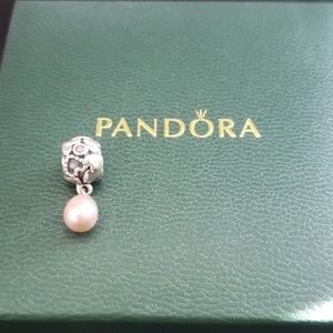 Pandora charm